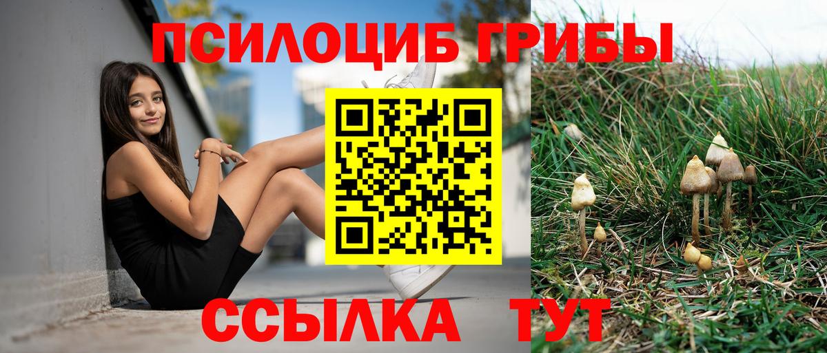 Богданович  Псилоцибиновые грибы мицелий  Вход с VPN 