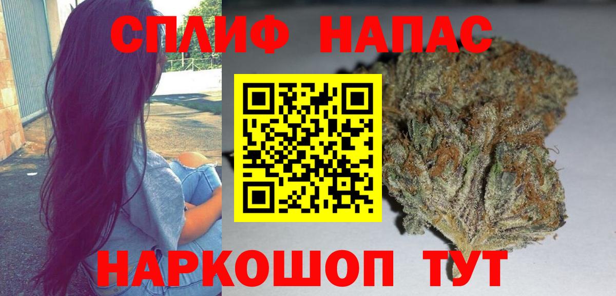 Конопля Богданович